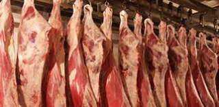 الزراعة: كيلو اللحم الجاموسي يبدأ من 72 جنيها.. والضاني بـ75