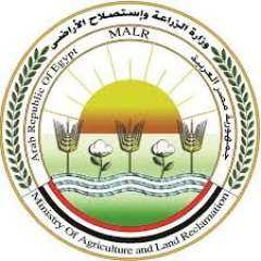 وزارة الزراعة: مصر الأولى عالمياً في إنتاج الموالح