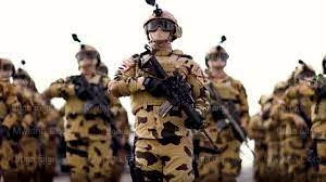 الجيش المصري 
