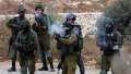 قوات الاحتلال تعتقل أربعة شبان فلسطينيين من محافظة جنين