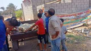 علاج وفحص أكثر من 1700 ماشية مجانا لصغار المربين بجنوب سيناء